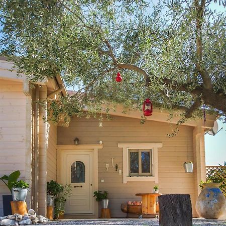 Karavádhos Driftwood Villa מראה חיצוני תמונה