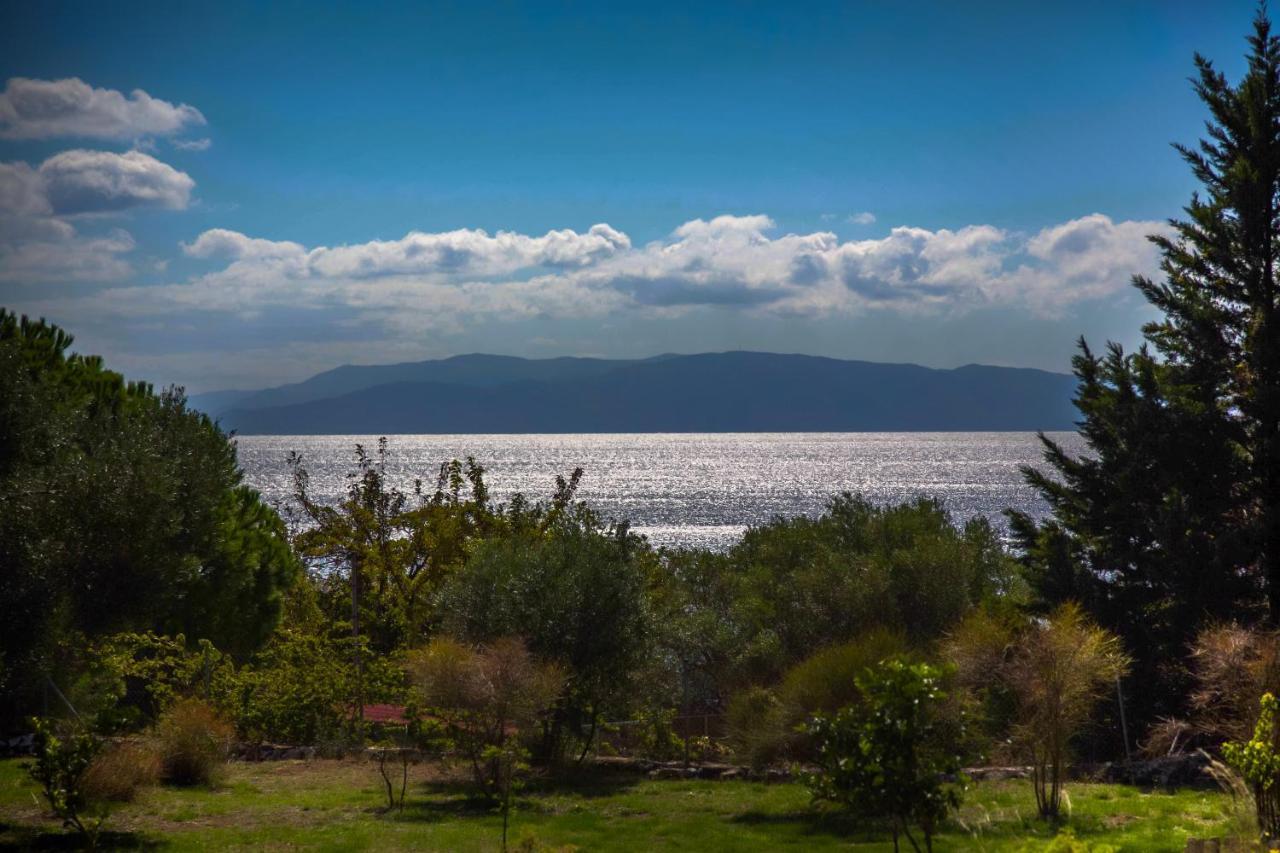Karavádhos Driftwood Villa מראה חיצוני תמונה