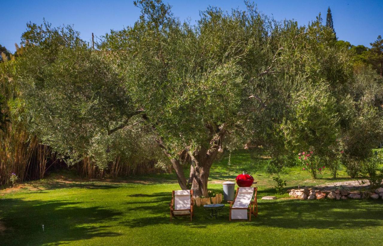 Karavádhos Driftwood Villa מראה חיצוני תמונה